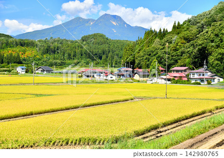 從長野縣信濃町富野眺望妙高山（長野縣信濃町）[2026.9] 142980765