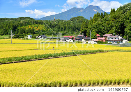 從長野縣信濃町富野眺望妙高山（長野縣信濃町）[2026.9] 142980767