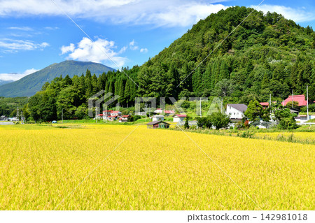 View towards Mt. Kurohime from Arasehara, Shinano-machi, Nagano Prefecture (Shinano-machi, Nagano Prefecture) [2026.9] 142981018