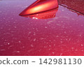 Car dirt (yellow dust) 06 142981130