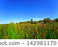 Red rice fields and clear skies in Kibitsu 142981170