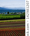 Vast flower fields, the colors of the four seasons 142981207