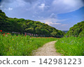 [Kanagawa] Yokosuka - Scenery of Kurihama Flower Park 142981223