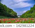 [Kanagawa] Yokosuka - Scenery of Kurihama Flower Park 142981224