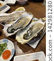 Delicious raw oysters in their shells 142981280