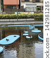 A mother duck and her ducklings are sitting on the playground equipment in the pond, so cute! 142981285
