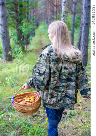 Woman walking through pine forest with wicker basket while searching for mushrooms. Mushroom foraging represents outdoor recreation, seasonal gathering and connection with nature Woman walking through pine forest with wicker basket while searching for mushrooms. Mushroom foraging represents outdoor recreation, seasonal gathering and connection with nature 142981555