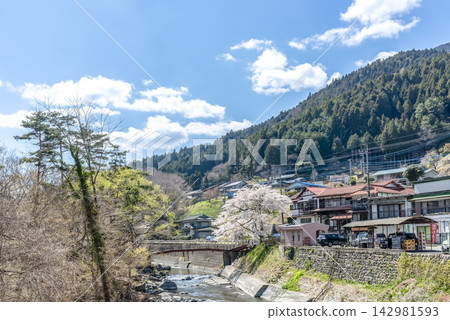 Springtime in Doshi Village: A mountain village landscape with cherry blossoms and the Doshi River flowing through it. Springtime in Doshi Village: A mountain village landscape with cherry blossoms and the Doshi River flowing through it. 142981593