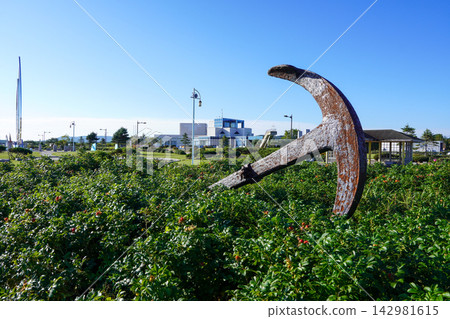 北海道鄂霍茨克流冰科學館(道之站/鄂霍茨克紋別) 北海道鄂霍茨克流冰科學館(道之站/鄂霍茨克紋別) 142981615