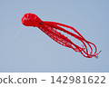 Festival of kites, kite in the sky on a sunny day 142981622