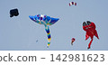 Colorful kites flying in the sky during a festival 142981623