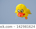 Festival of kites, kite in the sky on a sunny day 142981624