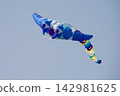 Festival of kites, kite in the sky on a sunny day 142981625