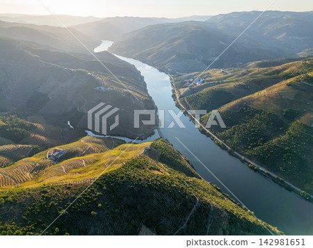 Aerial Douro River Bend and Vineyard Hills Portugal Aerial Douro River Bend and Vineyard Hills Portugal 142981651