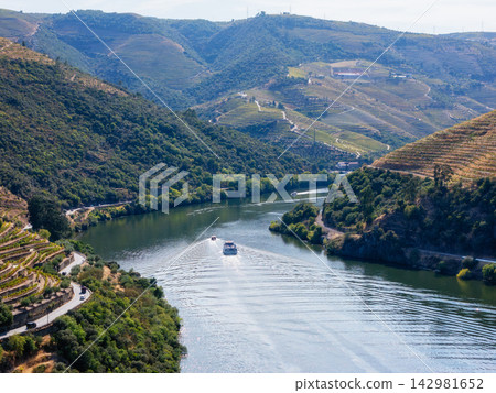 Douro River Boat Wake and Vineyard Hills in Portugal Daylight 142981652