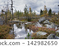 A small calm pond in the autumn taiga 142982650