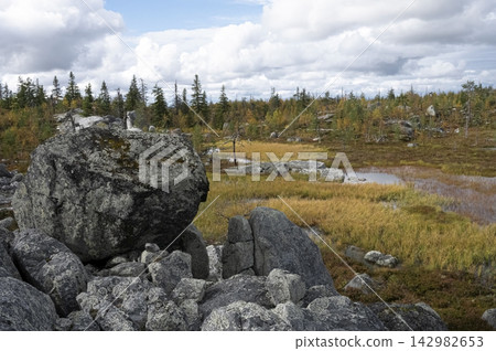 Large lichen-covered granite boulders in an autumn forest Large lichen-covered granite boulders in an autumn forest 142982653