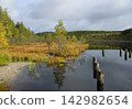 A calm lake among golden autumn trees covered with clouds 142982654