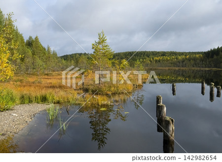 A calm lake among golden autumn trees covered with clouds 142982654