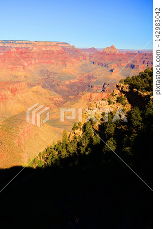 Grand Canyon Arizona Grand Canyon Arizona 142983042