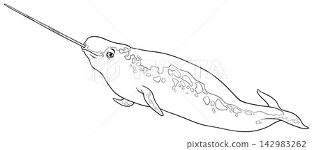 cartoon narwhal sea mammal animal character coloring book cartoon narwhal sea mammal animal character coloring book 142983262
