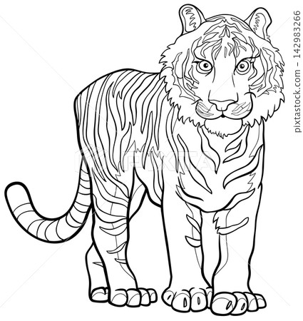 cartoon tiger wild animal character coloring book 142983266