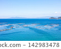 【柏島】盛夏時節，碧綠清澈的海 142983478