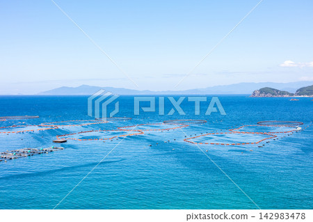 【柏島】盛夏時節,碧綠清澈的海 【柏島】盛夏時節,碧綠清澈的海 142983478
