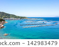 【柏島】盛夏時節，碧綠清澈的海 142983479