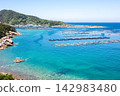 【柏島】盛夏時節，碧綠清澈的海 142983480