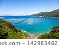 【柏島】盛夏時節，碧綠清澈的海 142983482