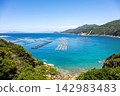 【柏島】盛夏時節，碧綠清澈的海 142983483