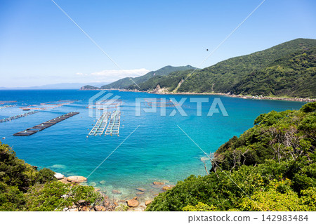 【柏島】盛夏時節,碧綠清澈的海 【柏島】盛夏時節,碧綠清澈的海 142983484