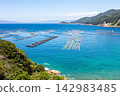 【柏島】盛夏時節，碧綠清澈的海 142983485