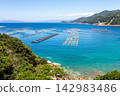 【柏島】盛夏時節，碧綠清澈的海 142983486