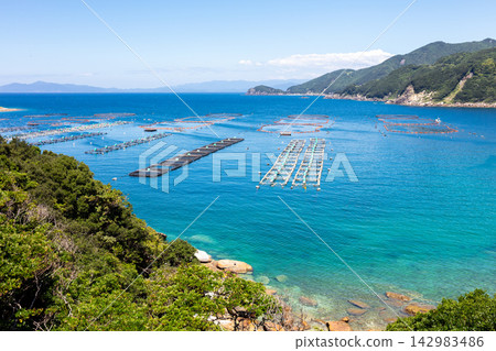 【柏島】盛夏時節,碧綠清澈的海 【柏島】盛夏時節,碧綠清澈的海 142983486