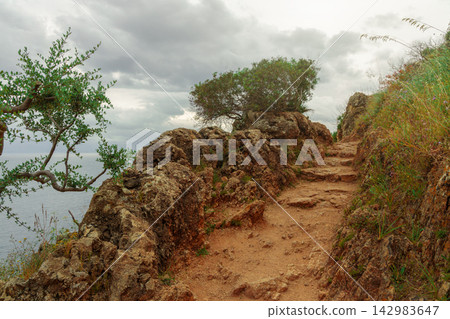 sand stone extreme terrain desert oasis foot path trail with barely plants and sun shine glare effect sand stone extreme terrain desert oasis foot path trail with barely plants and sun shine glare effect 142983647