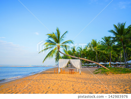 Beach setting with tent and palm trees by sea water during day. Tropical landscape Beach setting with tent and palm trees by sea water during day. Tropical landscape 142983976