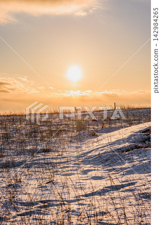 一隻北海道鹿佇立在金色的夕陽和白雪皚皚的高原之上:大智志海岸三里濱的冬日景象。 一隻北海道鹿佇立在金色的夕陽和白雪皚皚的高原之上:大智志海岸三里濱的冬日景象。 142984265