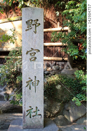 Nomiya寺廟的秋葉 Nomiya寺廟的秋葉 142984757