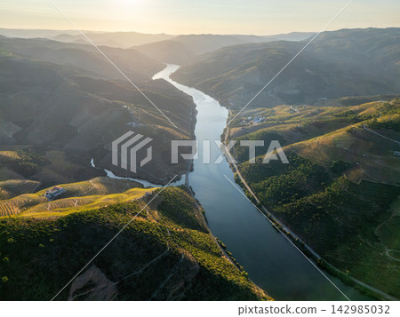 Sunlit Douro River Between Vineyard Hills Portugal Sunlit Douro River Between Vineyard Hills Portugal 142985032