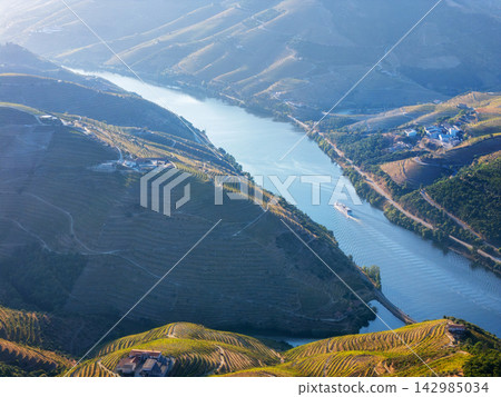 Tourist Boat on Douro River Between Vineyard Hills 142985034