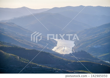 Tourist Boat on Douro River Between Vineyard Hills Tourist Boat on Douro River Between Vineyard Hills 142985050