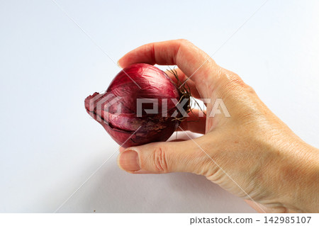 Hand holds a ripe red onion against a white background. Vegetables, agricultural produce Hand holds a ripe red onion against a white background. Vegetables, agricultural produce 142985107