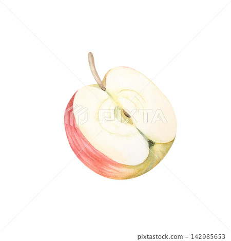 A watercolor illustration of half a fresh red apple from the autumn harvest. An eco friendly vegan fruit. An ingredient for cooking or a healthy snack. The apple slice is hand painted in pastel tones. A watercolor illustration of half a fresh red apple from the autumn harvest. An eco friendly vegan fruit. An ingredient for cooking or a healthy snack. The apple slice is hand painted in pastel tones. 142985653