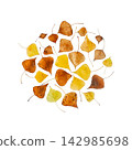 Yellow orange and brown autumn leaves arranged in a circular flat lay pattern isolated on transparent background for seasonal design 142985698