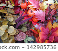 Colorful artificial autumn berries and leaves 142985736