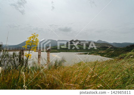 Hilltop white village and castle overlooking a reservoir with yellow wildflowers Hilltop white village and castle overlooking a reservoir with yellow wildflowers 142985811