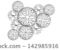 architecture drawing plant tree top view plan black vegetation vector. design nature architectural landscape set element illustration bush garden flora sapling minimal. architect isolated. 142985916