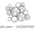 architecture drawing plant tree top view plan black vegetation vector. design nature architectural landscape set element illustration bush garden flora sapling minimal. architect isolated. 142985920